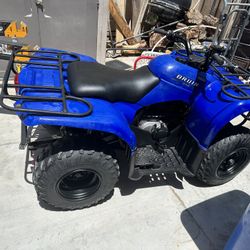 2005 Bruin 250