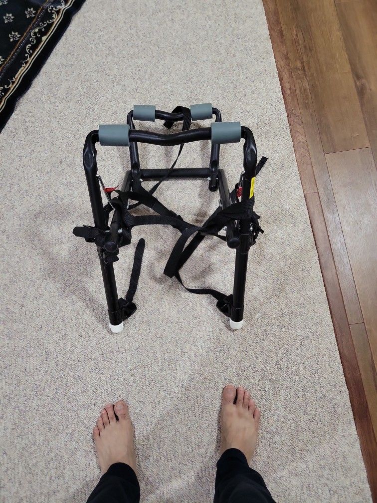 Bike Car Mount Rack