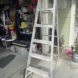 6 Feet Ladder For $35 