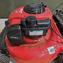 Troy-bilt TB110  Lawnmower 