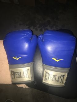 Everlast 12oz Training Gloves