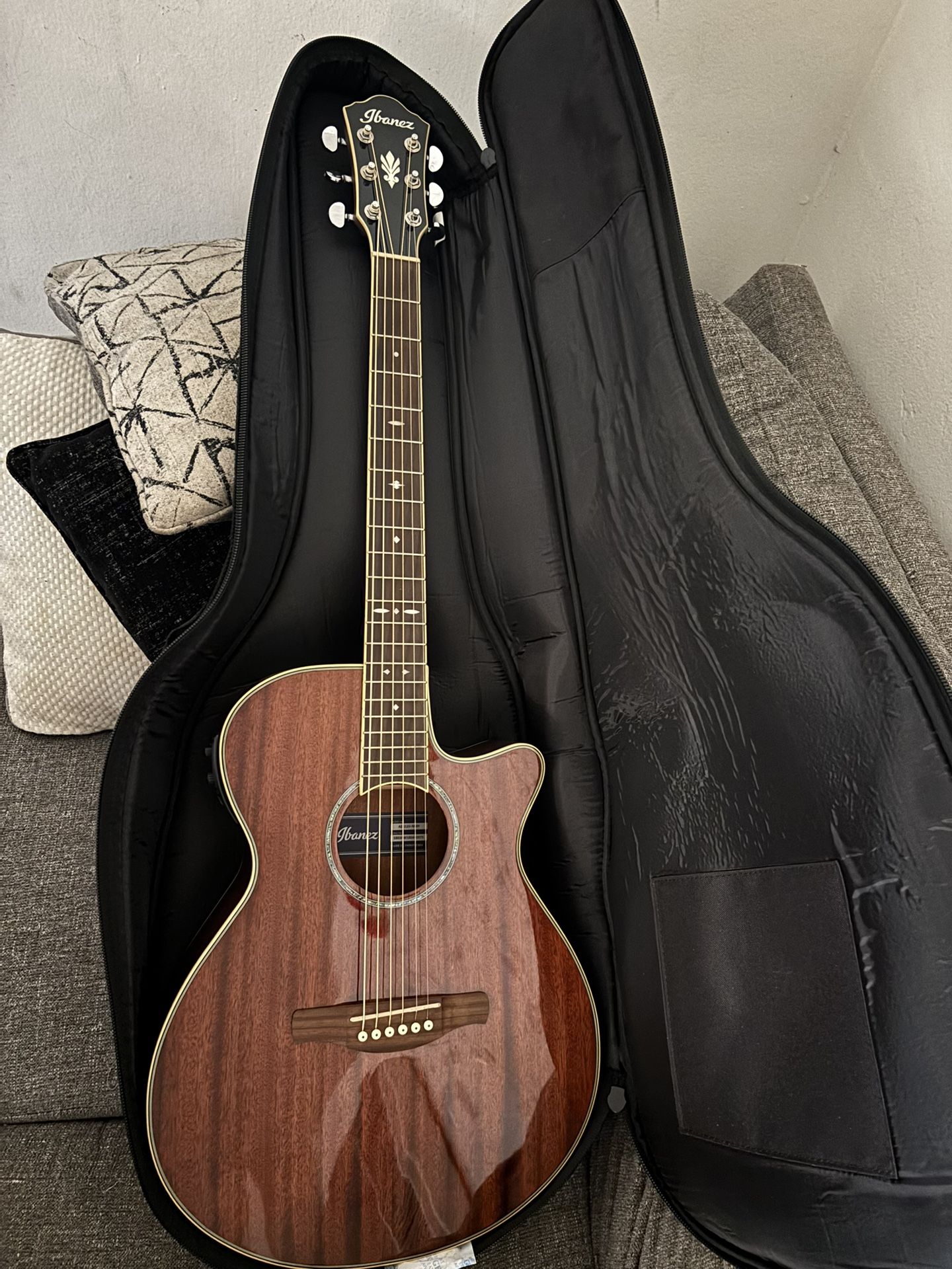 Ibanez Acoustic/electric Guitar Plus Gig Bag