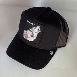 Goorin Bros Snapback Hat$45