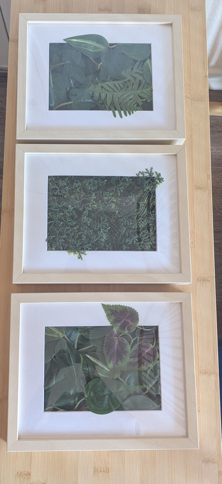 Ikea Plant Frame 8"x10"