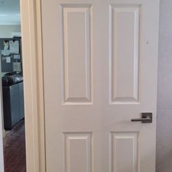 Door Slab Only 28x79