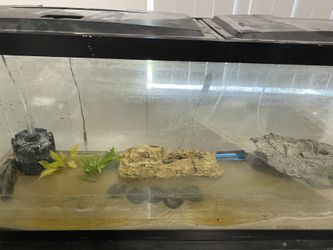 55 Gallon fish tank