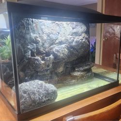 Professionally Built Brand New Paludarium Aquarium 