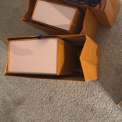 Louis Vuitton Dust Bag/ Shopping Bag