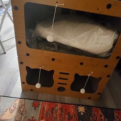 Cat Litter And Cat House