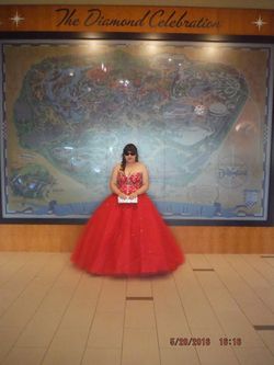 Mori Lee 2016 Prom/Quinceanera Dress (size 18)