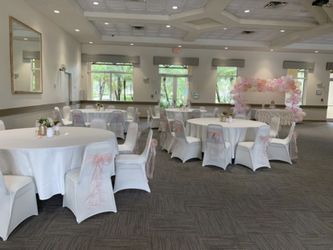 Blush Pink Sash bows for chairs