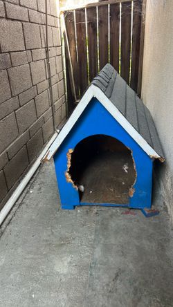 Dog house