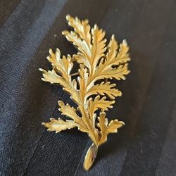 Vtg. Trifari Crown Signed Pin/Brooch Gold tone Leaf 3 " X 2" Very Rare!