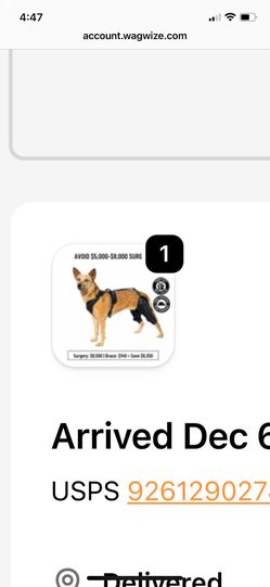 Dog Knee Leg Harness