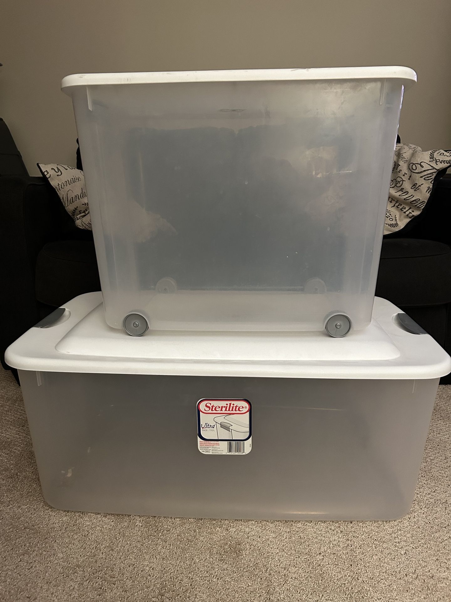 Sterilite large clear storage bins