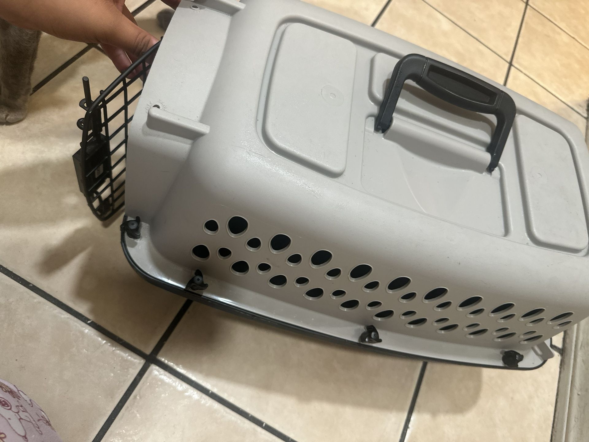 Dog Crate 19”