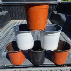 Botes Para Plantas 1g.