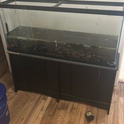55 Gallon Aquarium And Stand 