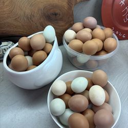 Fresh/ organic eggs