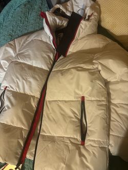 White Canada goose