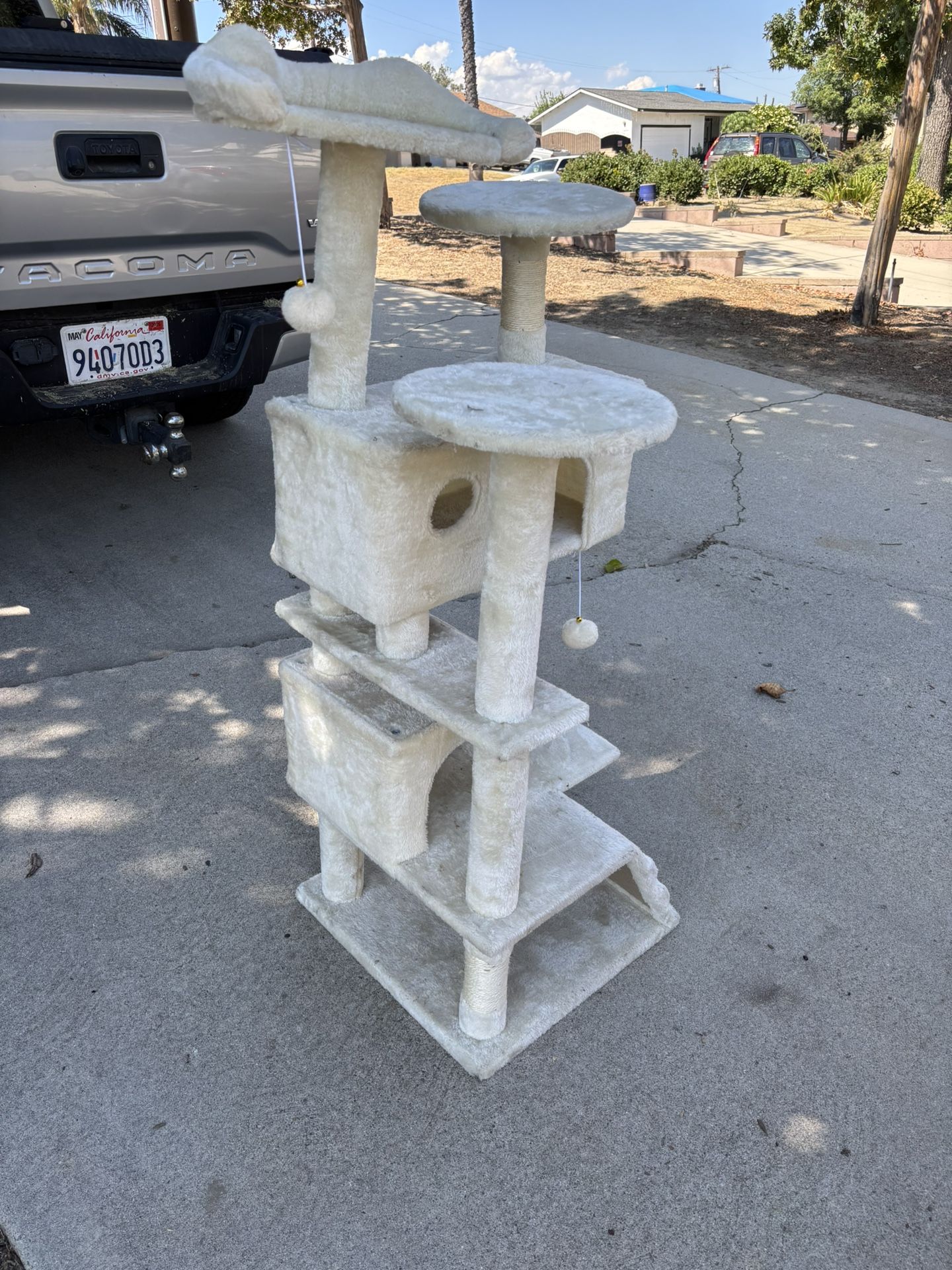 Cat Tree