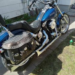 1992 Soft Tail Custom