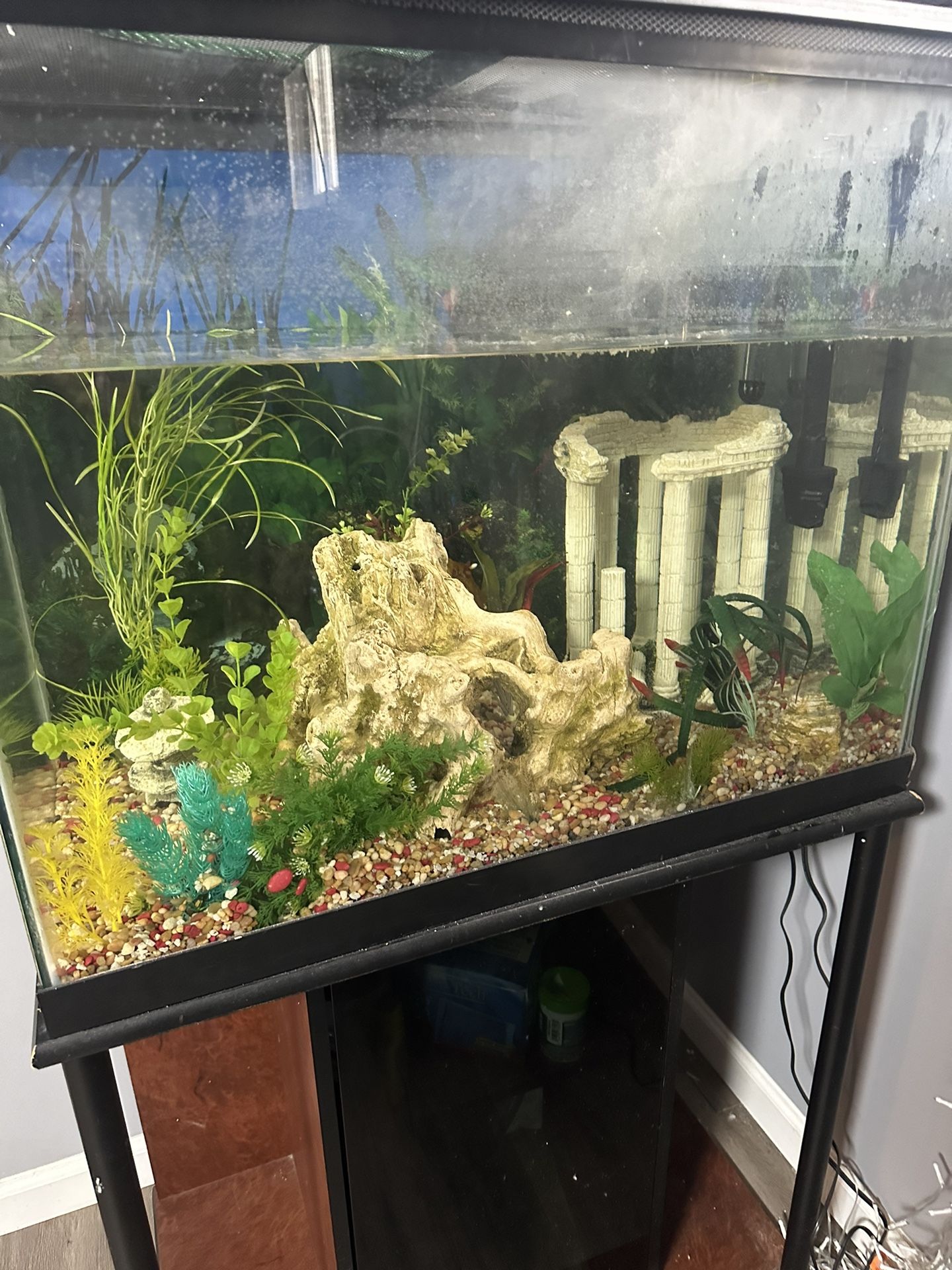 Fish Tank