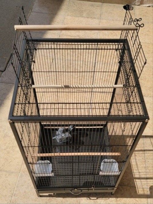 Bird Cage New