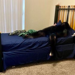Twin Bed 