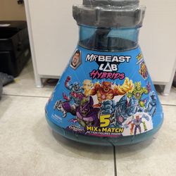 Mr Beast Toy
