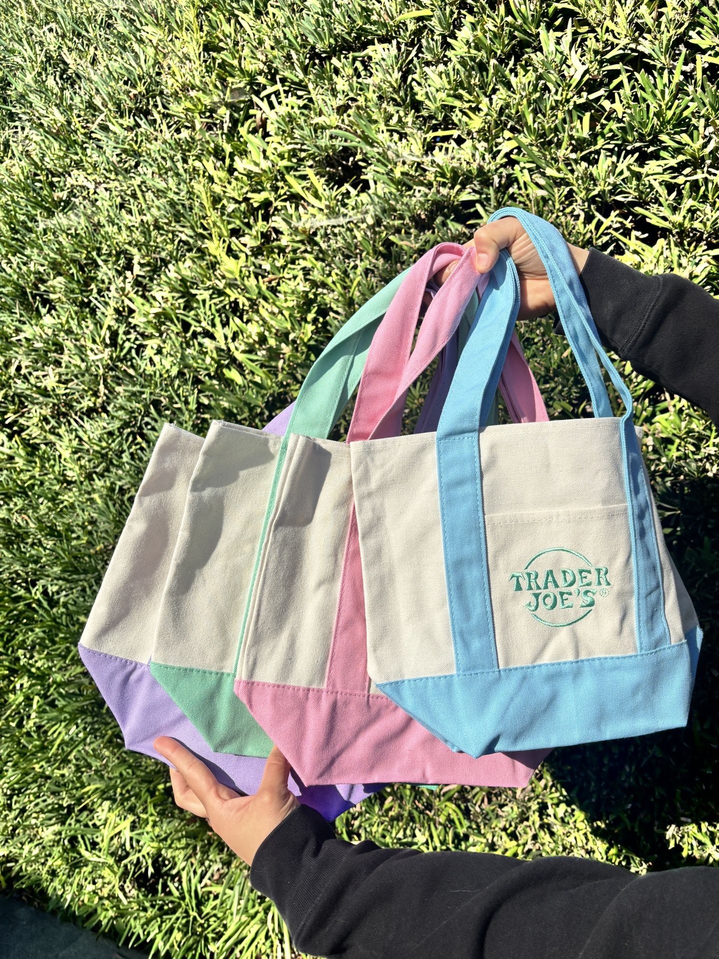 Trader Joe’s Easter Tote Bags ✨