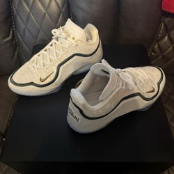 LBJ 23s Chosen Size 9.5 