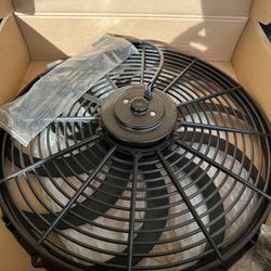 Electric Fan