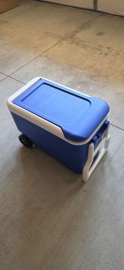 Ice cooler