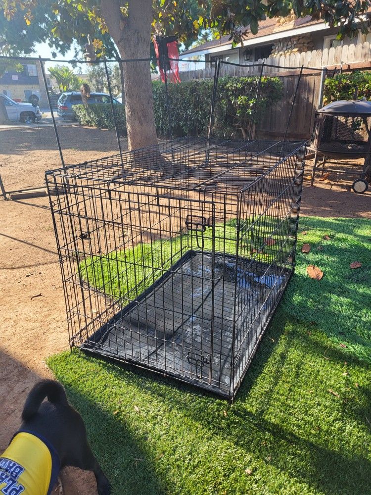 XXL Dog Cage