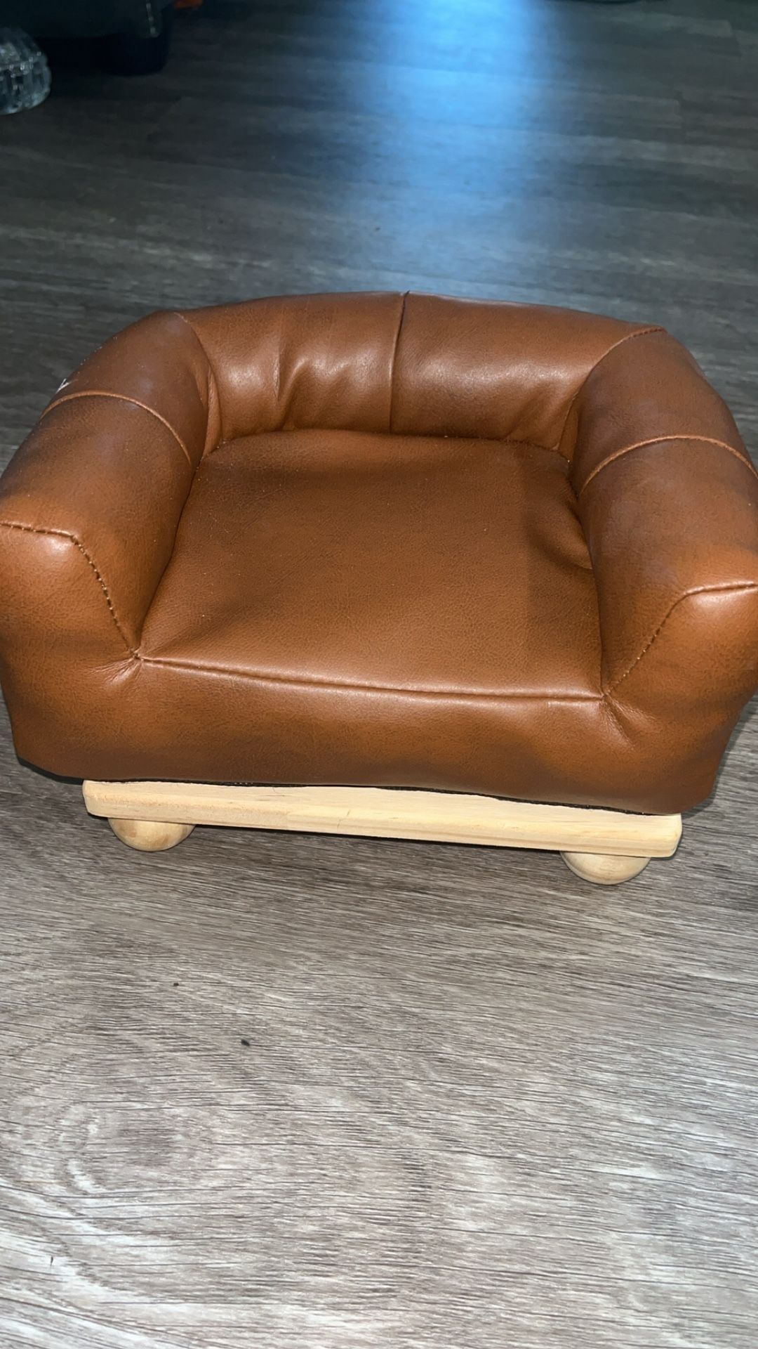 Reptile decoration Couch 