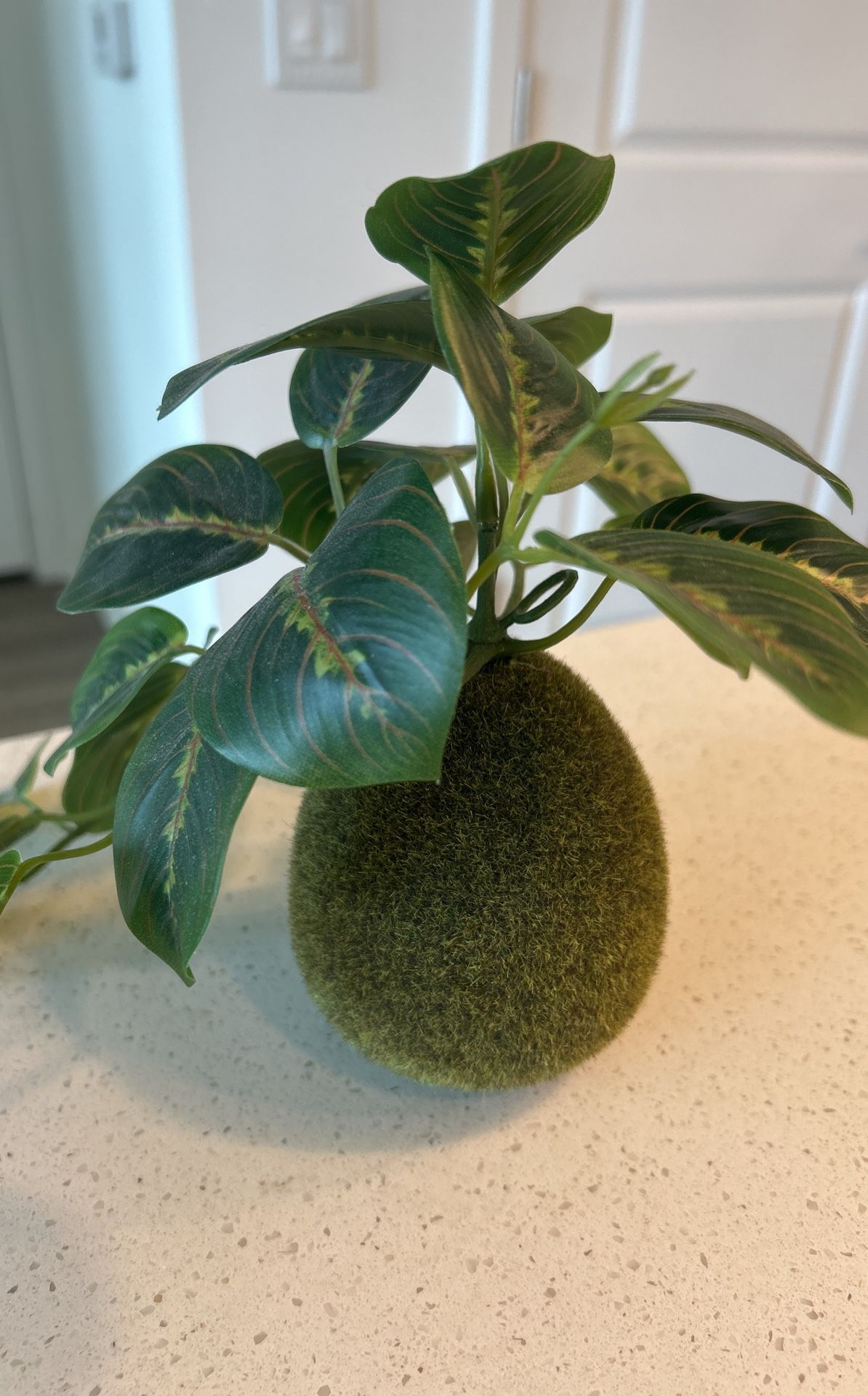 IKEA Plant šŖ“