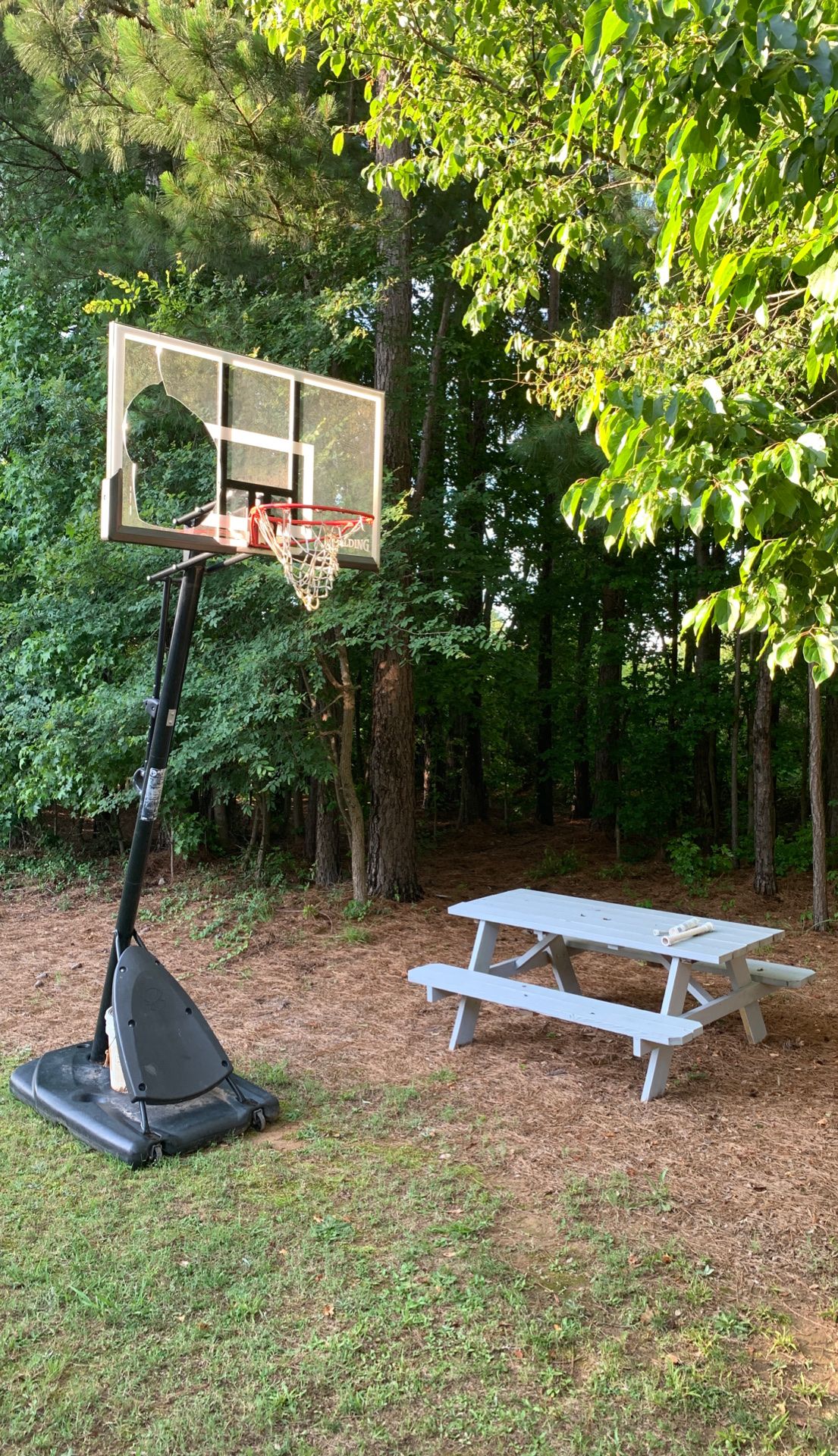 Picnic Table and basketball full size adjustable