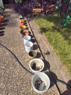 Tons of CLAY and terracotta planters pots lot great condition macetero DE BARRO no plastic