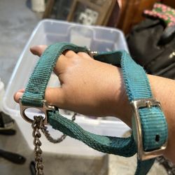 Sheep Harness With Chain