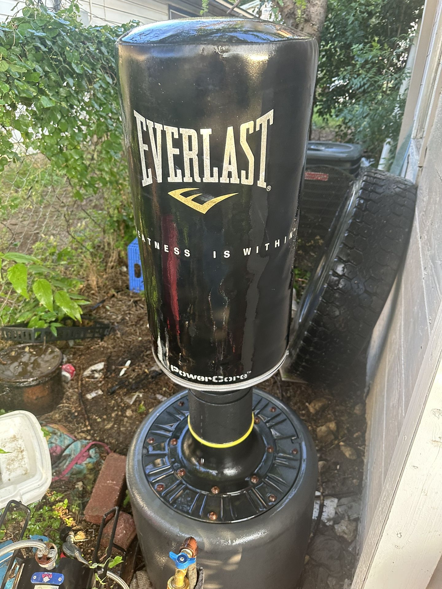 Everlast Standing Punching Bag