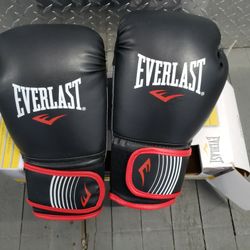 Everlast Core Training Boxing Gloves