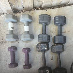 Assorted Weights For Exercise