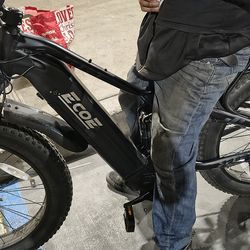 EcoE Electric Bike