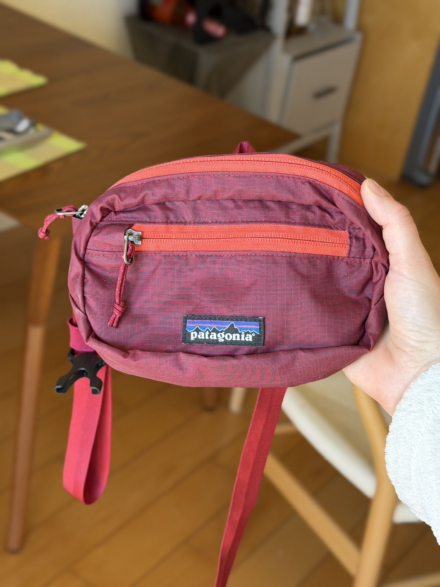 Patagonia Fanny Pack