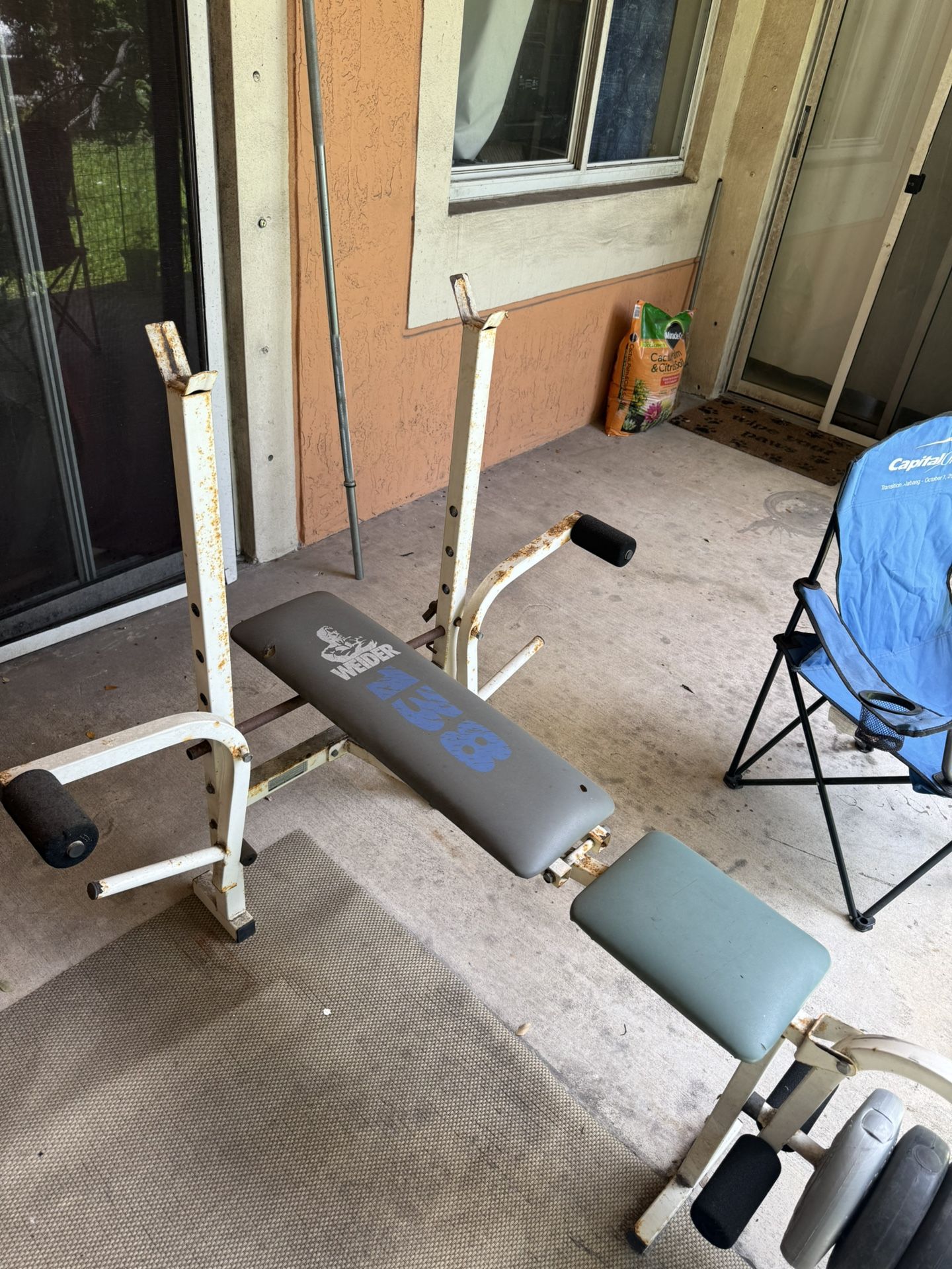 Bench Press