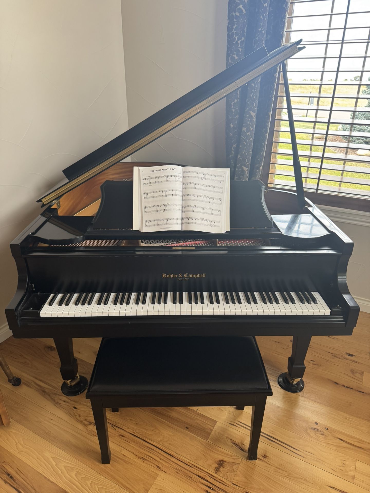 Baby Grand Piano