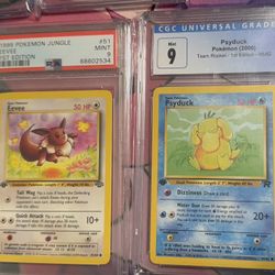 Pokemon Graded Cards 