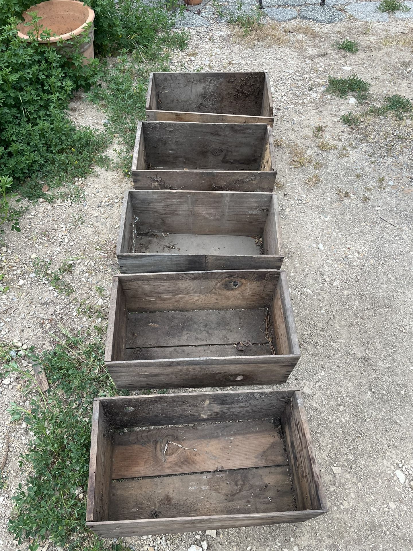 Antique Crate Boxes