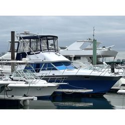 34c Silverton Gentleman’s Yacht Perfect For The Summer Complete Restoration In And Out Flawless For A Quick Sale 34000$